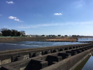 IMG_2242